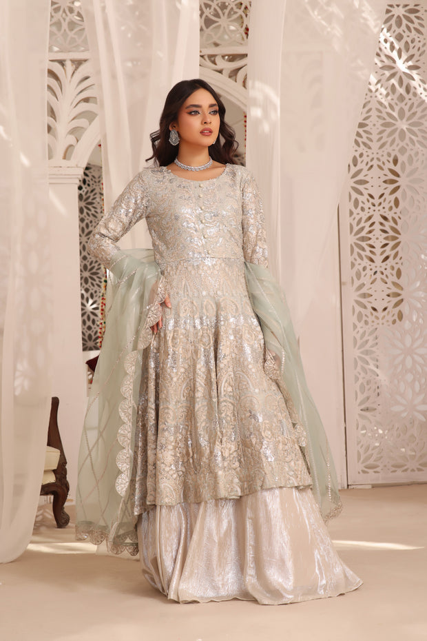 Fiza